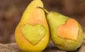 food fruit Gene edited foods could be our next risk communication fiasco