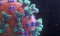 First Nations face deep pandemic risks First Nations face deep pandemic risks