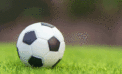 Liverpool FC finally grabs Premier League title Liverpool FC finally grabs Premier League title