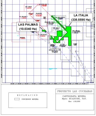 Terreno Resources Stakes New Concessions at the Las Cucharas Gold and Silver Project