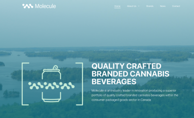 Molecule Holdings Inc. Launches Corporate Website