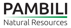 Pambili Welcomes Kavango Resources Plc as Key Strategic Investor, Converts US$250,000 Loan to Equity