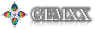 GEMXX Corporation Posts Positive Annual Revenues and Updates Shareholders on Financial Results