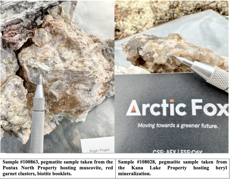 Arctic Fox Completes Successful Phase 1 Exploration Program