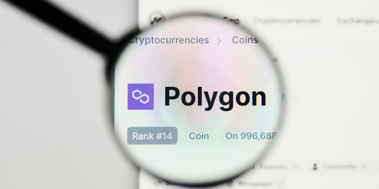 Polygon, Chainlink Experiences Upsurge, Everlodge Takes Centre stage with Revolutionary Property Marketplace