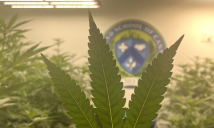 Ohio Cannabis School Makes History As The First of it’s kind to be Recognized by the US Department of Education