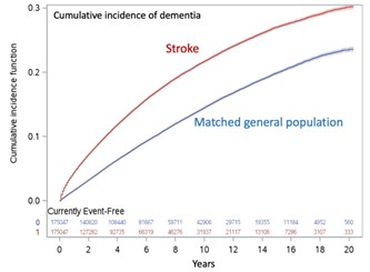 Risk of dementia was nearly three times higher the first year after a stroke