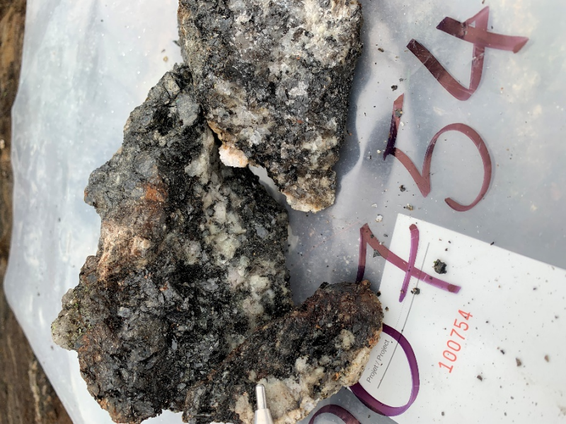 Arctic Fox Discovers Promising Lithium and Rare Earth Anomalies at Pontax North