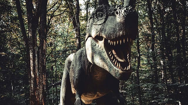 A new study refutes claims that T-rex had the intelligence of a baboon