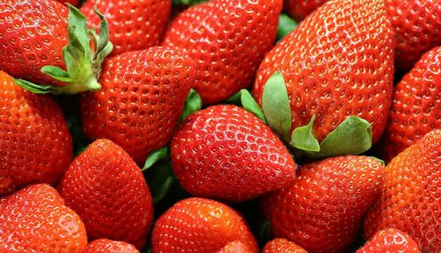 Why strawberry farmers are struggling this season