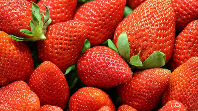 Why strawberry farmers are struggling this season