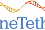 GeneTether Therapeutics Announces Binding Term Sheet for Private Placement of Units and Exclusive License Agreement of Soft Tissue Sarcoma Drug Candidate