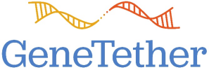 GeneTether Therapeutics Provides Supplementary Information Concerning License Agreement