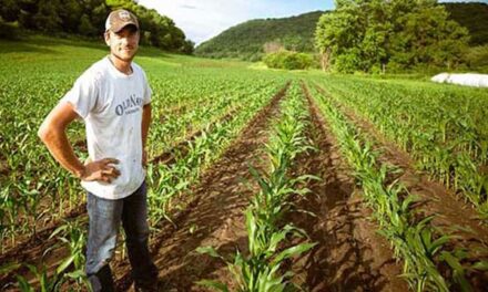 Ottawa should stop stoking food insecurity
