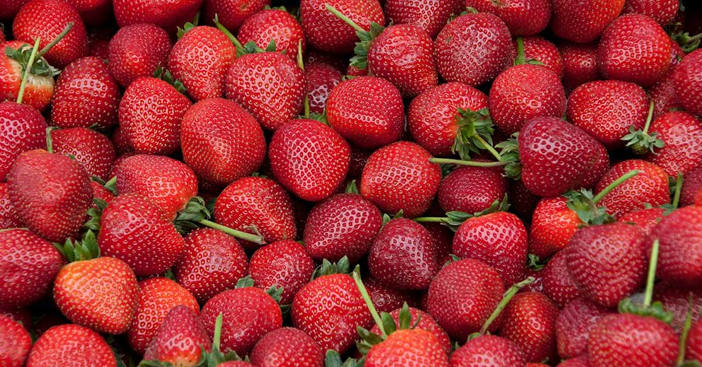 Summer produce should mean better prices, not ripoffs